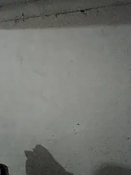 Elkato69 online show from February 26, 3:23 pm