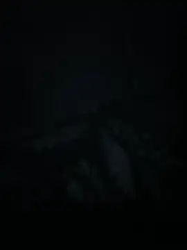 xxminou online show from July 2, 2:34 am