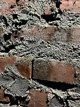 Snapshot of O_o_UwU_o_O chatting on November 8, 2:37 am O o UwU o O online show from November 8, 2:37 am