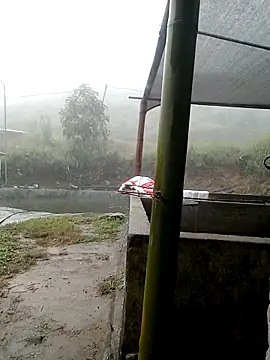 ngan-cute online show from November 2, 4:17 am