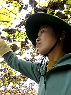 ngan-cute online show from January 11, 4:08 am