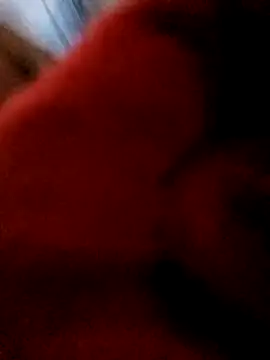 bing-bing88 online show from February 12, 1:55 pm