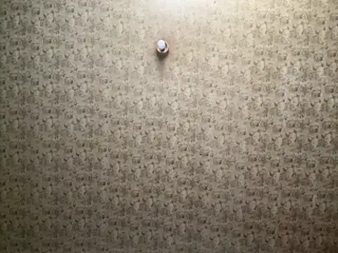 Tookey012 online show from April 19, 7:09 am