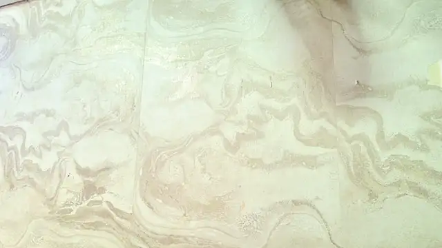 amy greene online show from March 31, 11:34 am