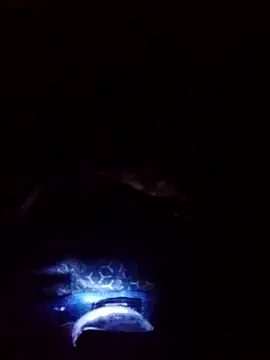 gostoso delas 2 online show from September 17, 4:20 pm