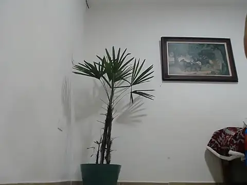 Young handsome online show from September 11, 1:27 am