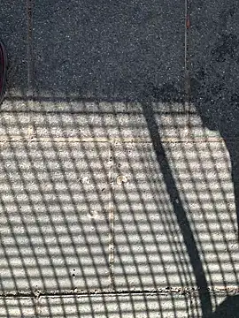 GeilerHSVFAN1989 online show from April 12, 9:01 am