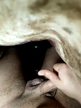 radois54 online show from February 11, 4:45 am