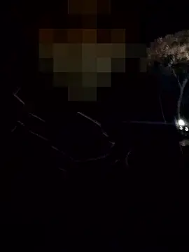 thcn12345 online show from December 3, 10:03 am