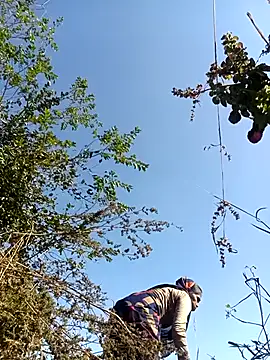 Snapshot of Hot-honi chatting on December 18, 7:35 am Hot-honi online show from December 18, 7:35 am