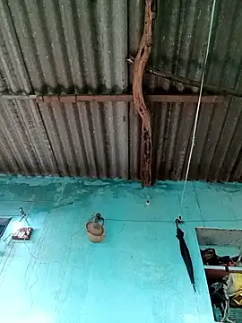 Snapshot of Hot-honi chatting on September 21, 11:48 am Hot-honi online show from September 21, 11:48 am