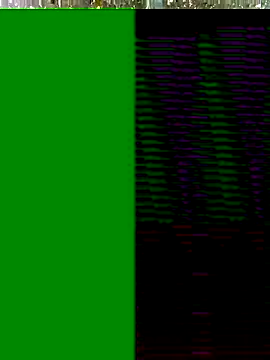 Snapshot of Hot-honi chatting on November 17, 10:19 am Hot-honi online show from November 17, 10:19 am