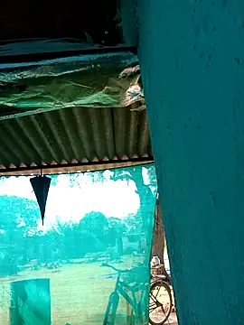 Snapshot of Hot-honi chatting on November 5, 4:59 am Hot-honi online show from November 5, 4:59 am