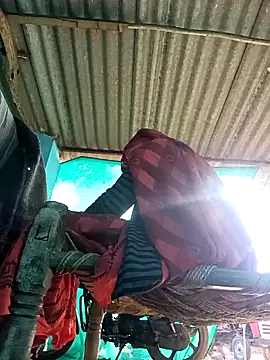 Snapshot of Hot-honi chatting on November 8, 9:46 am Hot-honi online show from November 8, 9:46 am