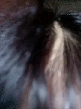 VanGau031694 online show from October 8, 8:16 am