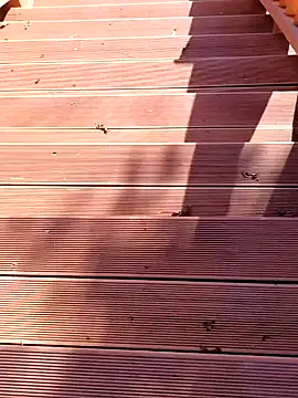 shaoshao-7758 online show from November 11, 2:50 am