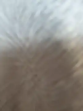 VendiMur online show from March 27, 1:03 am