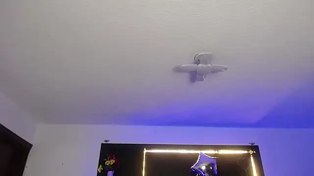  Charlotte Collins  online show from March 4, 2:36 pm