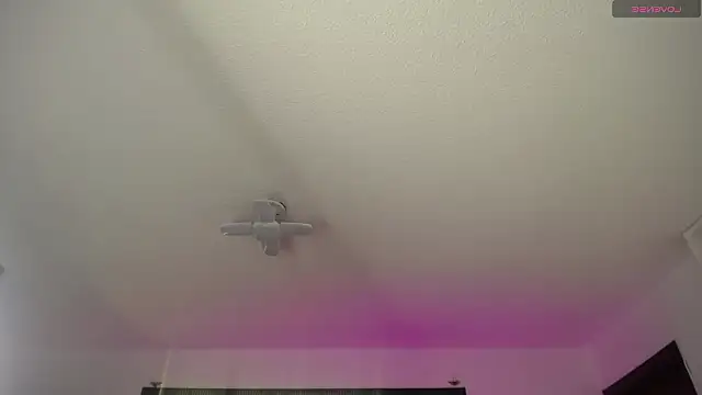  Charlotte Collins  online show from March 22, 2:18 pm