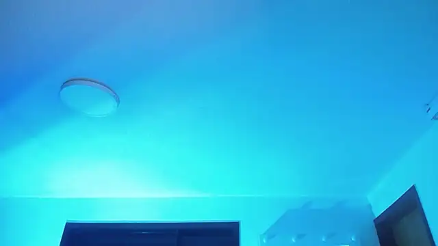  Charlotte Collins  online show from January 17, 2:31 pm