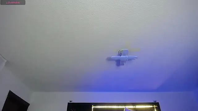  Charlotte Collins  online show from March 7, 2:11 pm