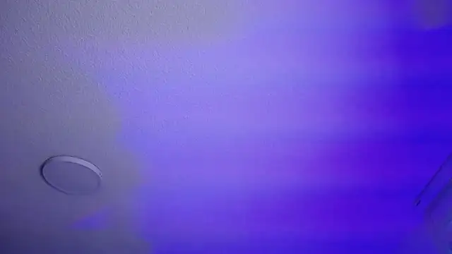  Charlotte Collins  online show from January 6, 2:43 pm