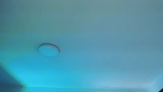  Charlotte Collins  online show from April 10, 2:24 pm