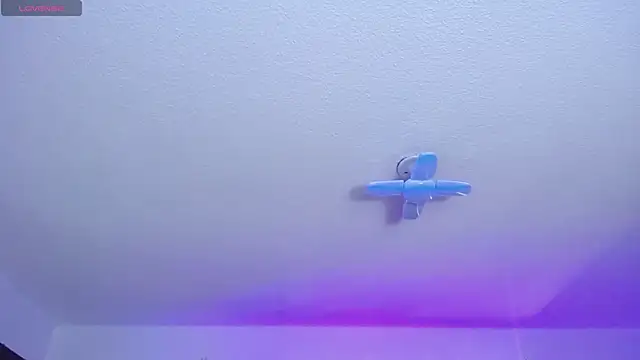  Charlotte Collins  online show from February 19, 2:47 pm