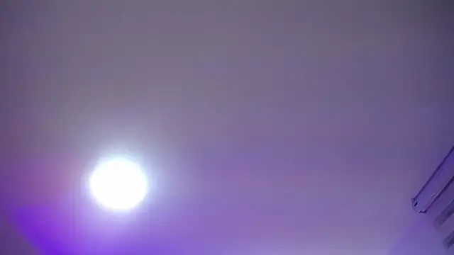  Charlotte Collins  online show from April 9, 2:34 pm