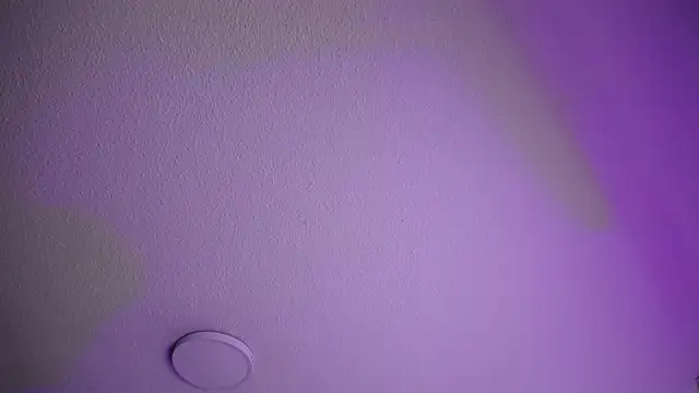  Charlotte Collins  online show from October 30, 2:14 pm