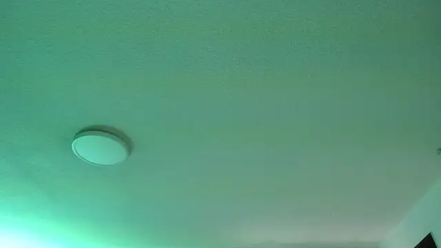  Charlotte Collins  online show from March 31, 2:41 pm