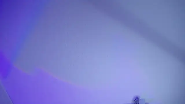  Charlotte Collins  online show from April 14, 1:49 pm