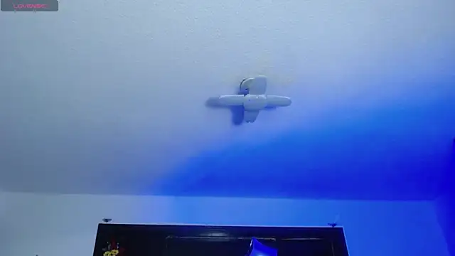  Charlotte Collins  online show from February 27, 2:39 pm