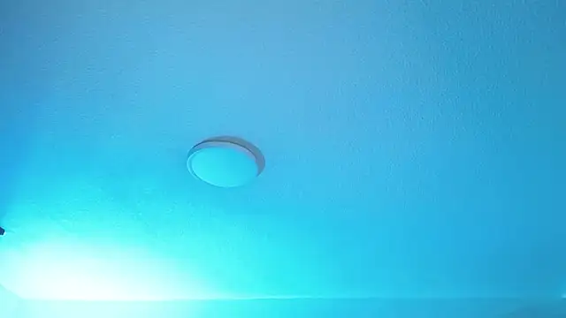  Charlotte Collins  online show from January 19, 2:21 pm