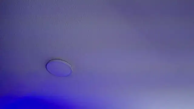  Charlotte Collins  online show from March 9, 2:31 pm