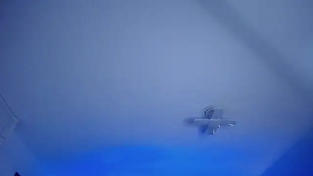  Charlotte Collins  online show from March 13, 2:22 pm