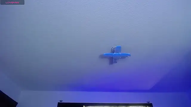  Charlotte Collins  online show from February 17, 2:36 pm