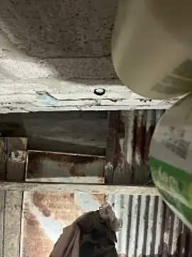 SaraBust online show from April 7, 4:25 am