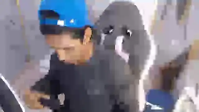 Snapshot of bull_cam chatting on November 27, 1:22 pm bull cam online show from November 27, 1:22 pm