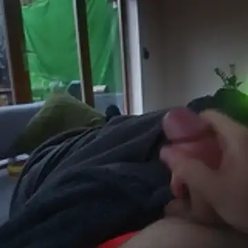 stunning stallion online show from October 27, 4:30 pm