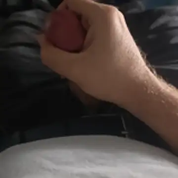 stunning stallion online show from October 24, 9:25 pm