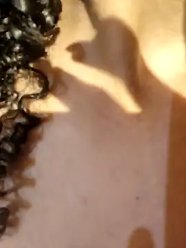 kate lua online show from April 2, 4:30 am