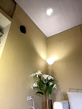 RedVelvet Dream online show from December 23, 4:12 am