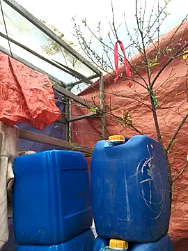 liu-liusexy online show from February 19, 8:22 am