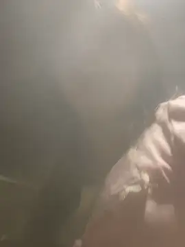 AnHa19 online show from March 1, 9:42 am