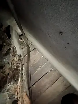 AnHa19 online show from November 6, 7:45 am