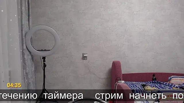 glasses cat online show from November 12, 8:45 pm