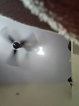 Silk Smitha 27 online show from November 2, 5:34 am