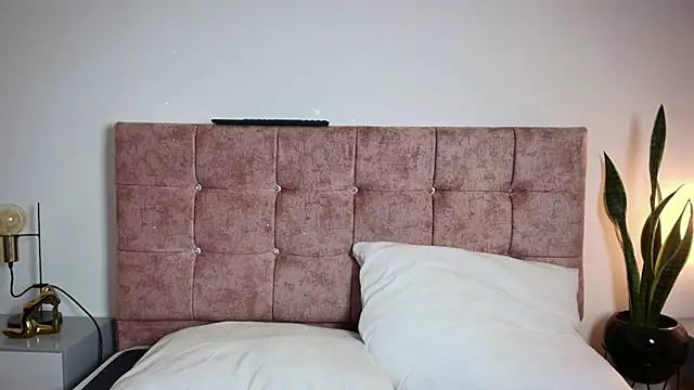 Ares Alpha online show from November 27, 6:52 pm