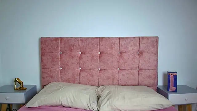 Ares Alpha online show from November 18, 7:17 pm